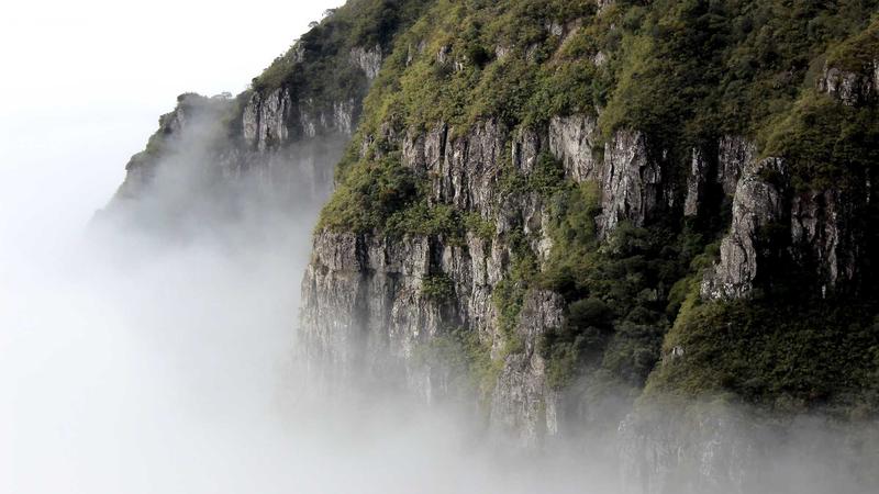用户浏览内容时的反馈场景